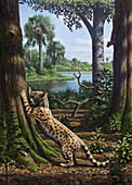 Proailurus extinct felid scratching a tree, illustration