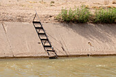 Escape ladder on irrigation canal