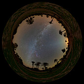 Night sky over Palm Grove, 360-degree view