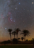 Night sky over Palm Grove, Iran