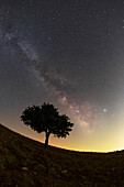 Milky Way and light pollution