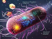 Nanomaterials used against antibiotic-resistant bacteria