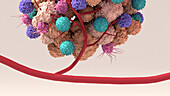 Tumour microenvironment, illustration