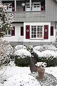 Snowy front garden with box balls