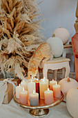 Ginger cat examining lit candles on tray, Arezzo, Tuscany, Italy