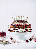 Layered Chocolate cake with cherries, cream, and poppy seeds