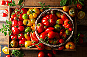 Freshly harvested tomatoes