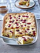 Blondie cuts from white chocolate and cranberries