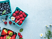 Erdbeeren, Himbeeren und Heidelbeeren auf blauem Untergrund