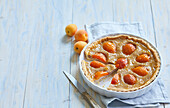 Brittle cake with apricots