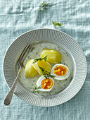 Dill sauce with potatoes and boiled egg