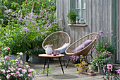 Culver's root in zinc tubs, rose, Calibrachoa, Allium lusitanicum, carnation, water hyssop and globe amaranth 'Truffula Pink', cut garlic and echeveria at the window, Acapulco chair, and small table