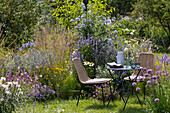A cozy seating area by the perennial bed with Anise hyssop 'Blue Fortune' 'Apache Sunset', Sea holly 'Glitter Blue', Golden marguerite, grasses, echinacea, petunia, Allium, cape leadwort, and spider flower, glasses, pitcher, and bouquet on the table