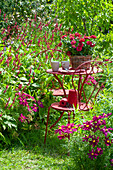 Small seating area by the bed with Red bistort 'Blackfield' and ornamental baskets, basket with zinnias on the table