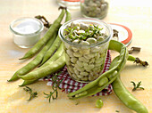 Preserved broad beans