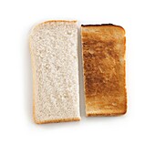 Toast and bread