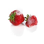 Rotting strawberries