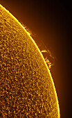 Large solar prominence