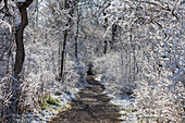 Hiking trail after spring snowfall