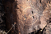 Petroglyph National Monument, New Mexico, USA