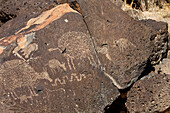 Petroglyph National Monument, New Mexico, USA