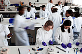 University science laboratory