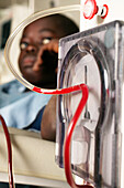 Kidney dialysis