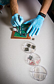 Researcher working on a perovskite solar cell