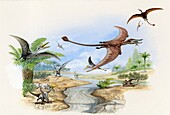 Pterosaur flying reptiles, illustration