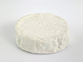 Mornish cheese