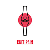 Knee pain, conceptual illustration