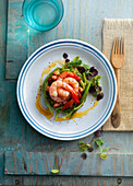 Vegetable timbale with red prawns