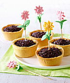 Nut tartlets with chocolate rice