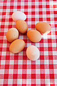 Frische Eier vom Bauernhof auf karierter Tischdecke