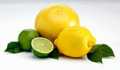 Citrus still life - grapefruit, lemon and limes with leaves
