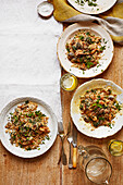 Chicken, mushroom and spinach stroganoff