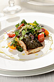 Pan Fried turbot fillet with mixed salad