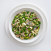 Orecchiette with mackerel, broad beans, peas, and asparagus