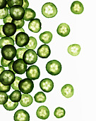 Thin slices of cucumber shot on a white surface