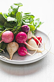 A bunch of vibrant, freshly picked radishes sitting on a white plate