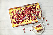Redcurrant sour cream cake