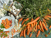 Still life with carrots, mushrooms, onions, creme fraiche, dill, and parsley