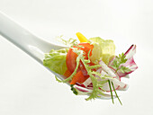 A white fork filled with a bite of garden salad