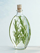Sunflower oil with rosemary in a bottle