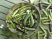 A bowl of pea pods