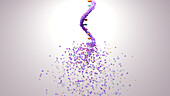 RNA molecule disintegrating, conceptual illustration