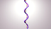 RNA molecule, conceptual illustration