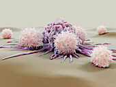 Natural killer cells attacking a cancer cell, illustration