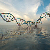 DNA rising out of water, illustration