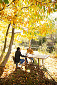 Businessmen working at table in sunny autumn park